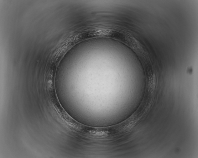 X0000116310553200912141401