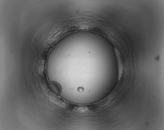 X0000116310554200912141401