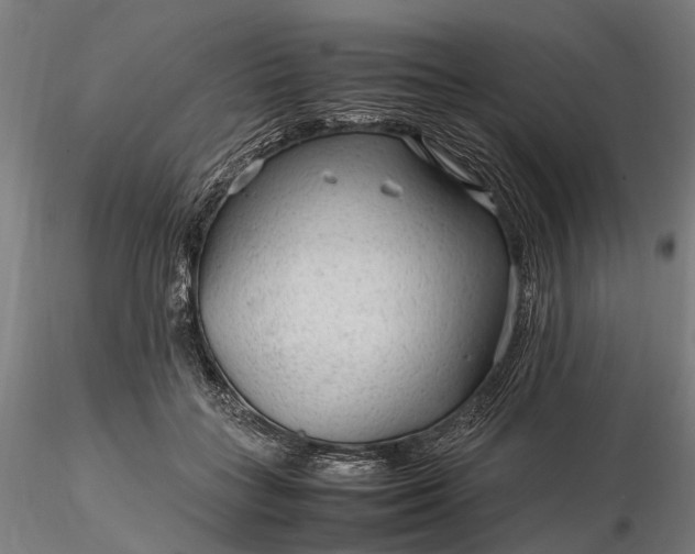 X0000116310555200912141401