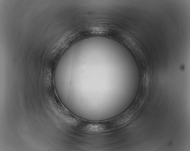 X0000116310557200912141401