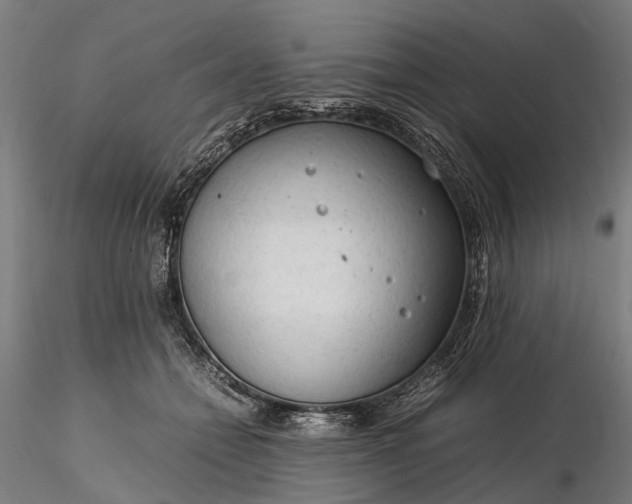 X0000116310558200912141401