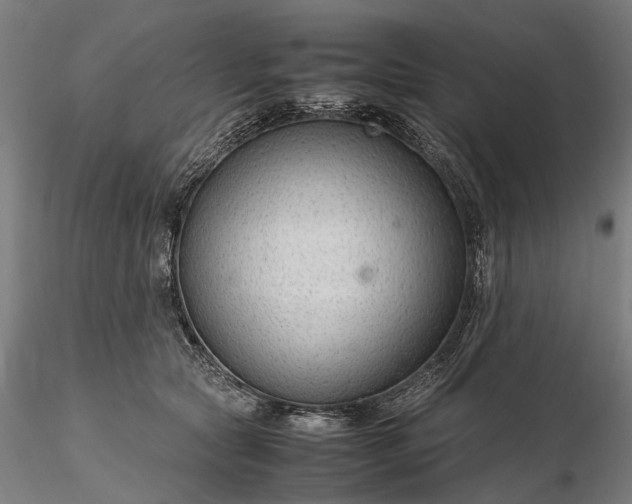 X0000116310561200912141401