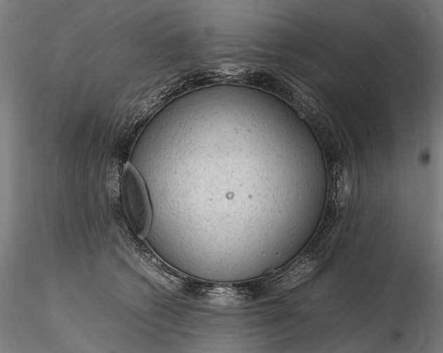 X0000116310562200912141401