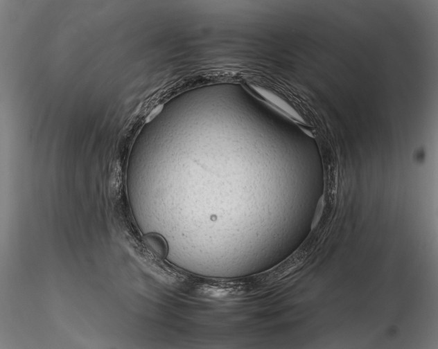 X0000116310563200912141401