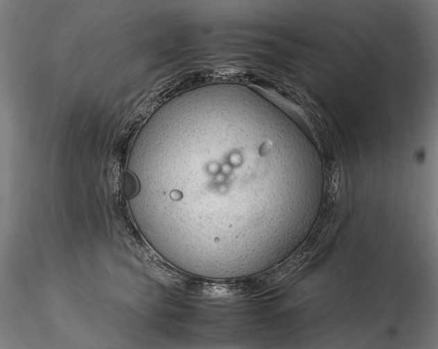 X0000116310565200912141401