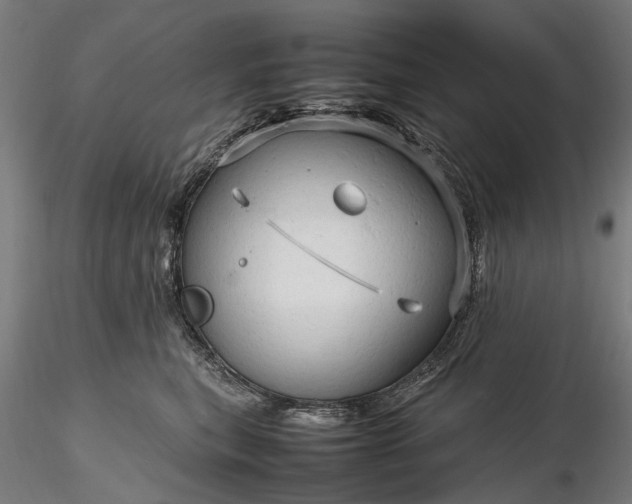 X0000116310567200912141401