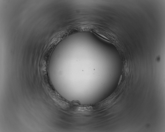 X0000116310571200912141401