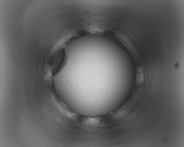 X0000116310573200912141401