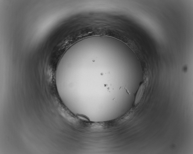 X0000116310574200912141402