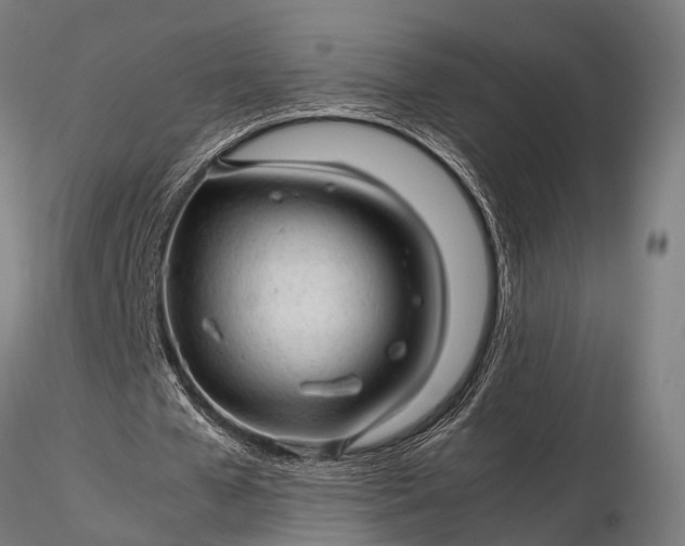 X0000116310577200912141401