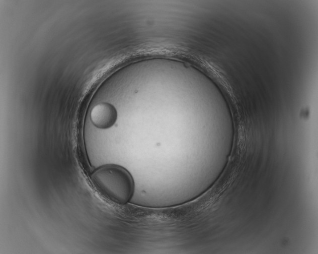 X0000116310578200912141401