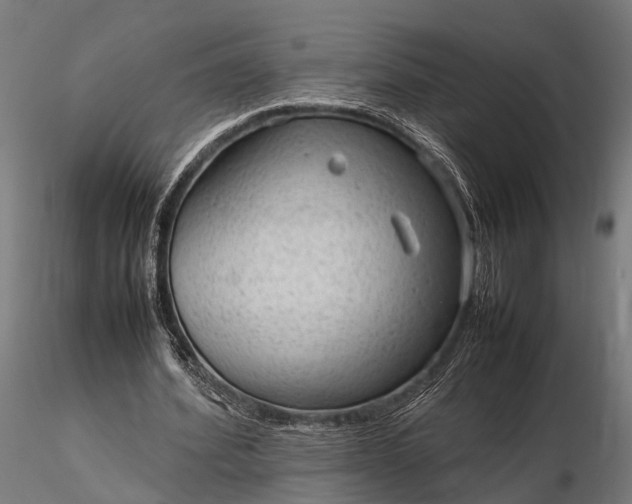 X0000116310580200912141401