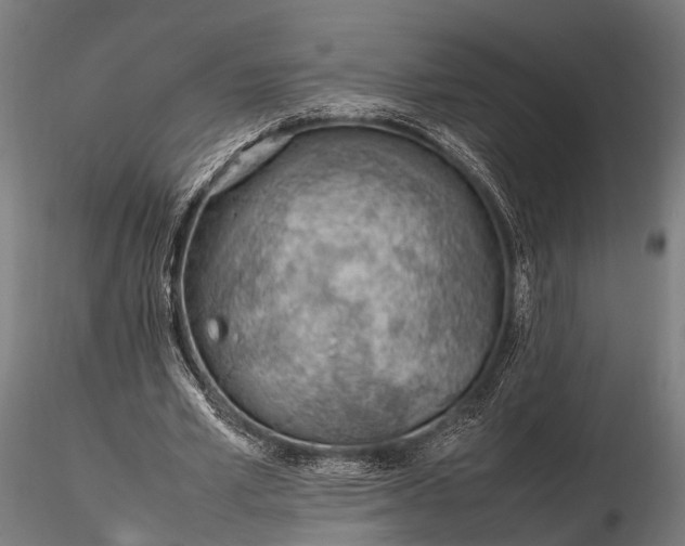 X0000116310581200912141401