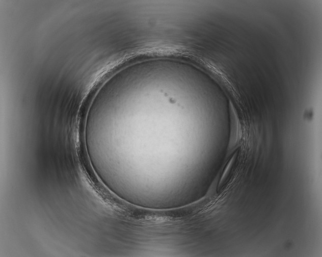 X0000116310582200912141401