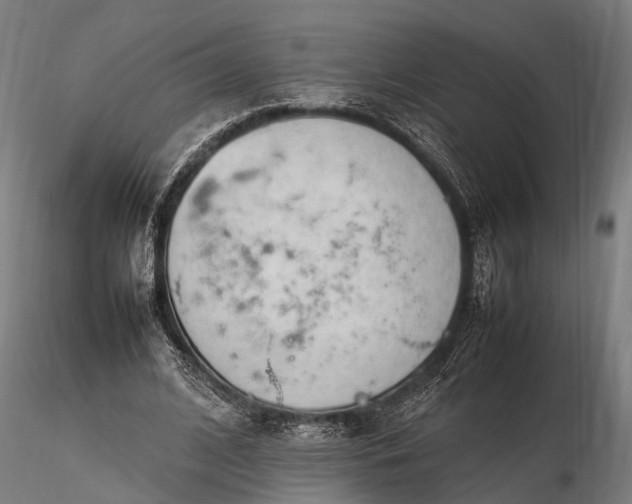 X0000116310584200912141401