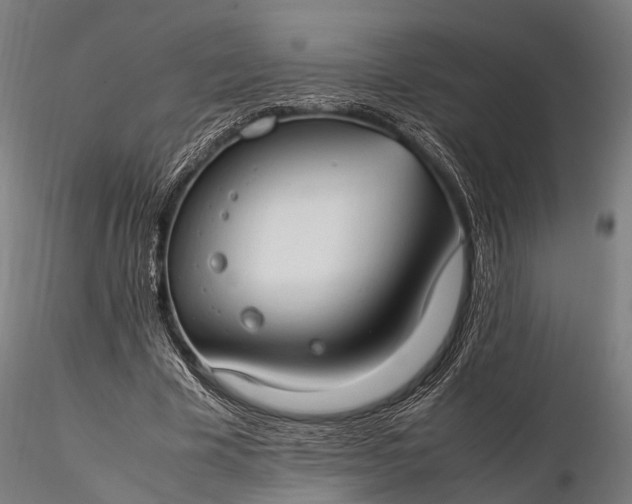 X0000116310585200912141401