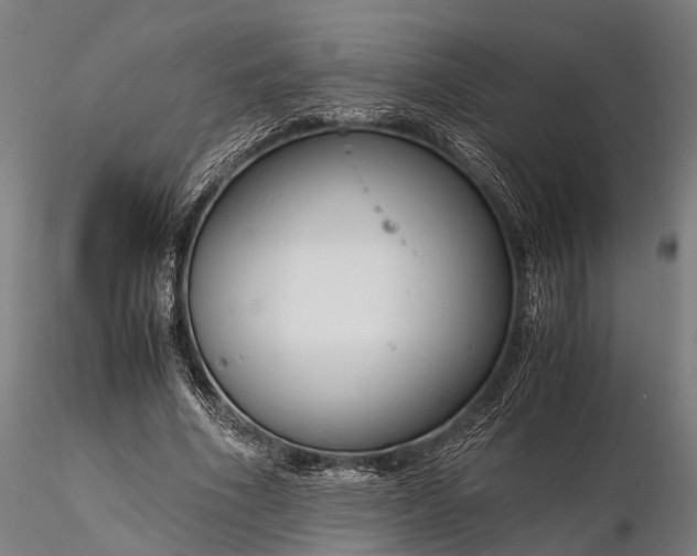 X0000116310586200912141401