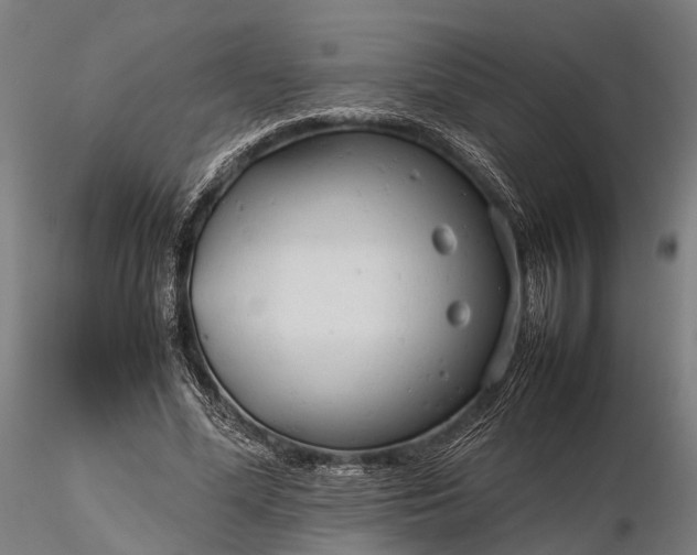 X0000116310588200912141400