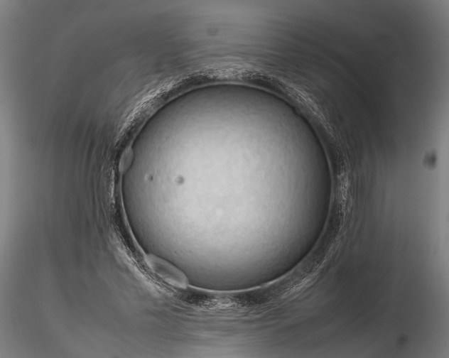 X0000116310589200912141400