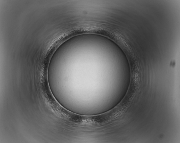 X0000116310591200912141400