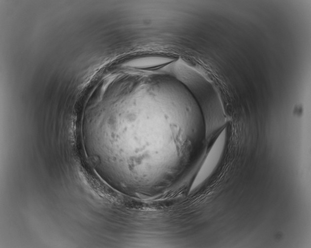 X0000116310592200912141400