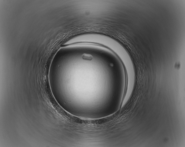 X0000116310593200912141400