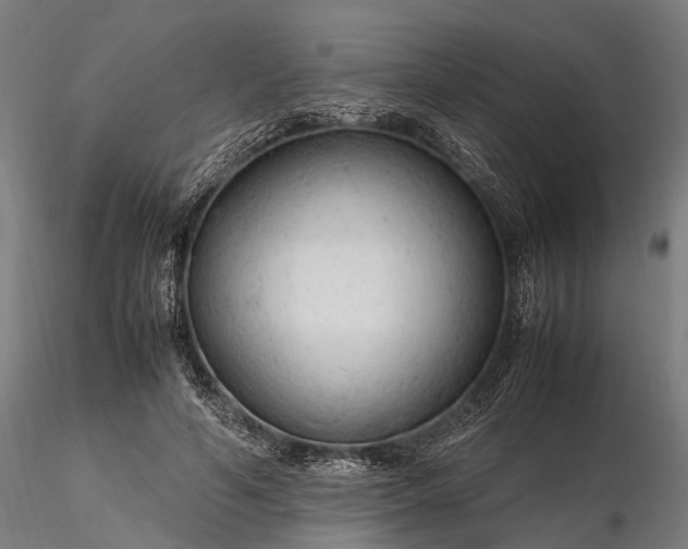 X0000116310594200912141400