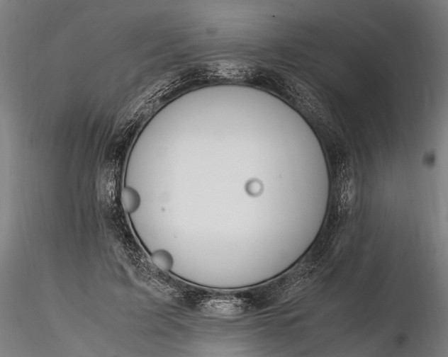 X0000116310595200912141400