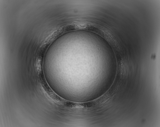 X0000116310598200912141400