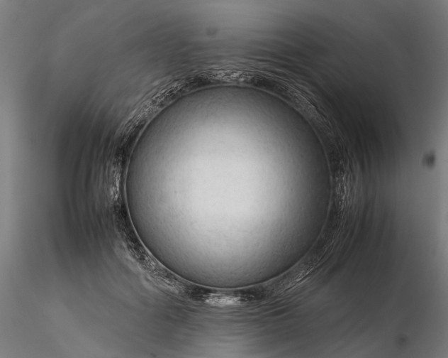 X0000116310602200912141400