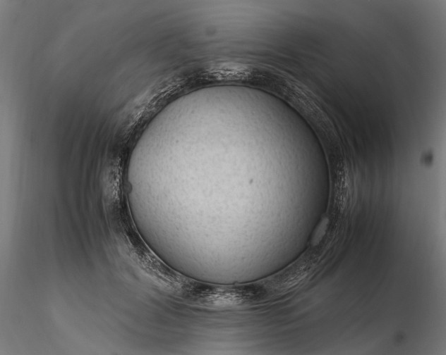 X0000116310604200912141400