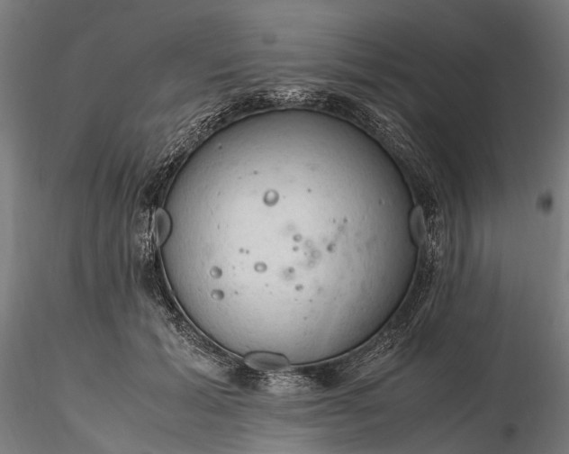 X0000116310605200912141400