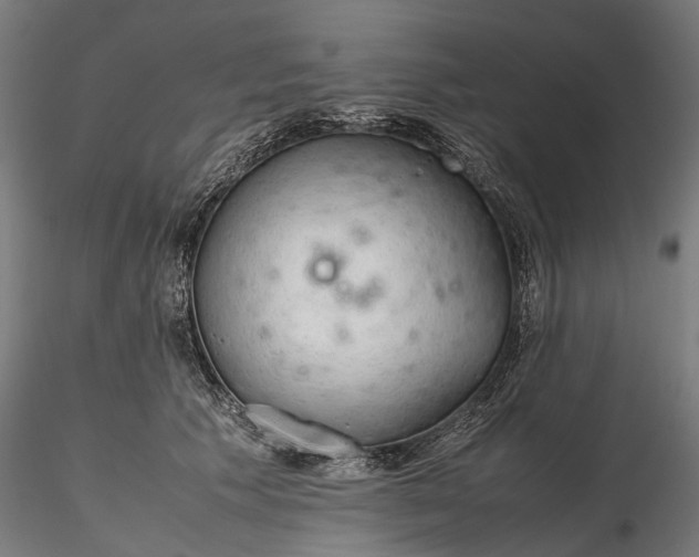 X0000116310609200912141400