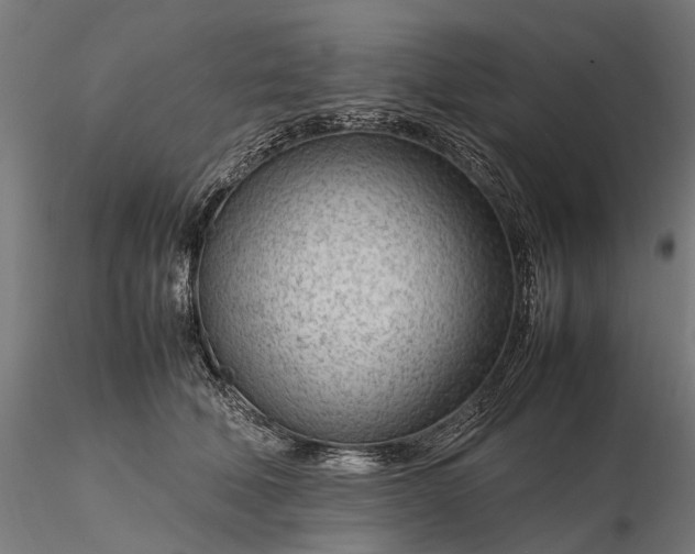 X0000116310610200912141400