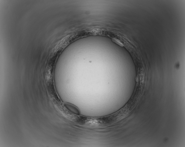 X0000116310611200912141400