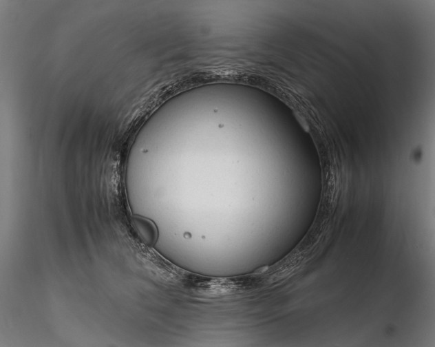 X0000116310612200912141400