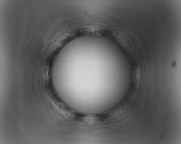 X0000116310615200912141400