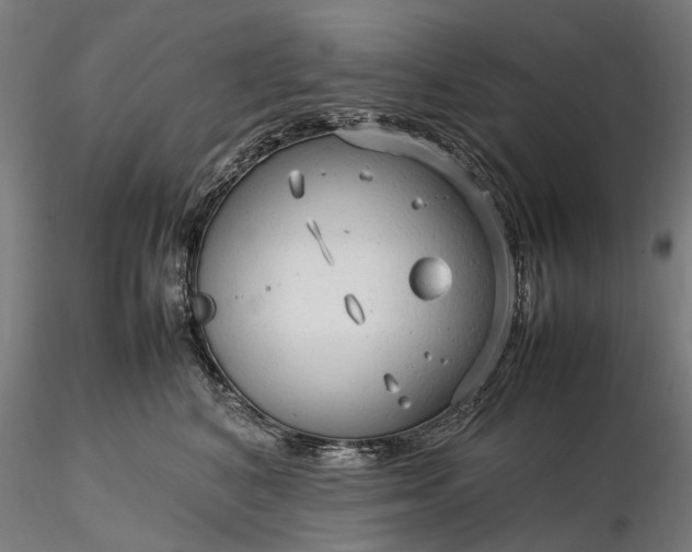 X0000116310616200912141400