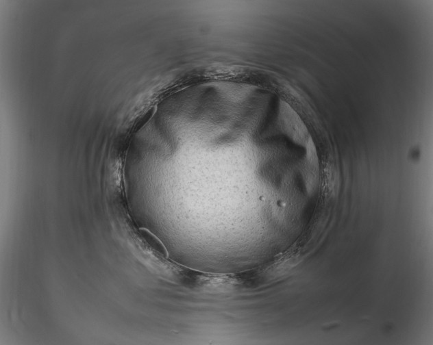 X0000116310621200912141400