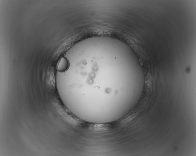 X0000116310622200912141400