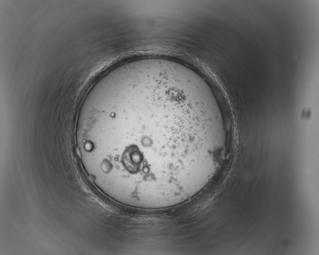 X0000116310625200912141359