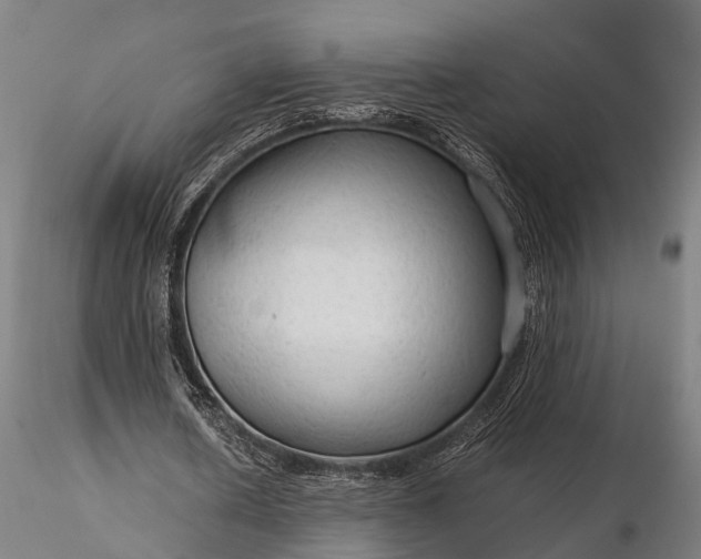 X0000116310626200912141359