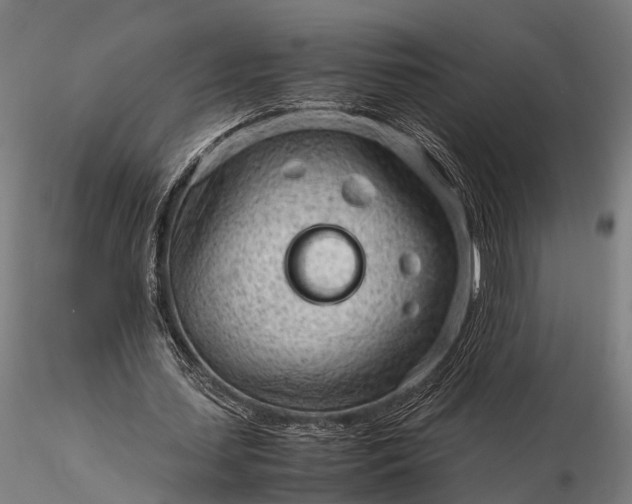 X0000116310627200912141359