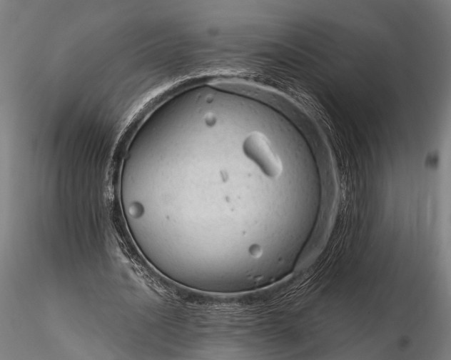 X0000116310628200912141359