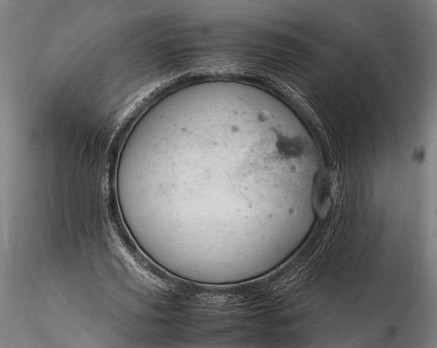 X0000116310629200912141359