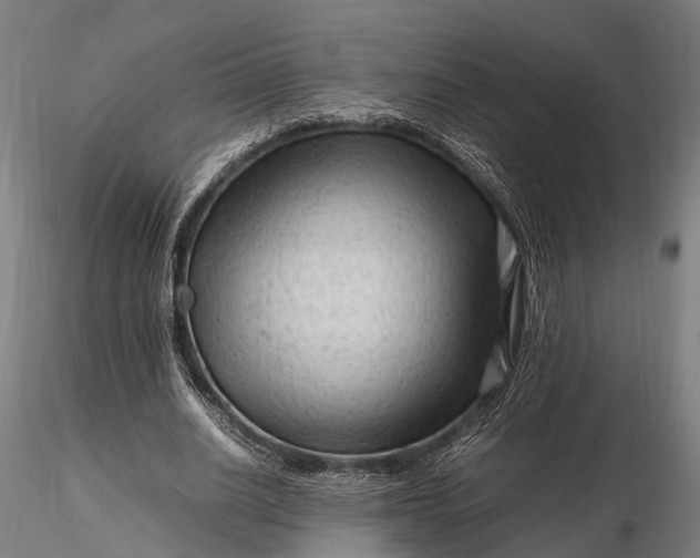 X0000116310630200912141359