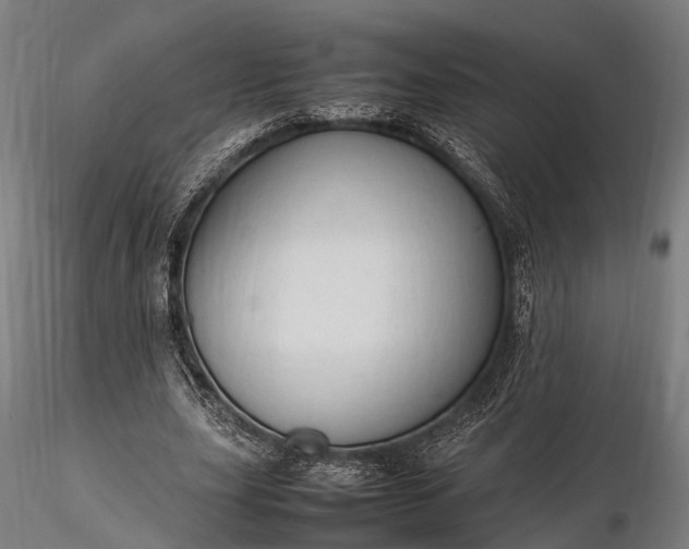 X0000116310631200912141359