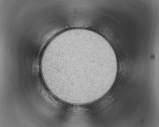 X0000116310632200912141359