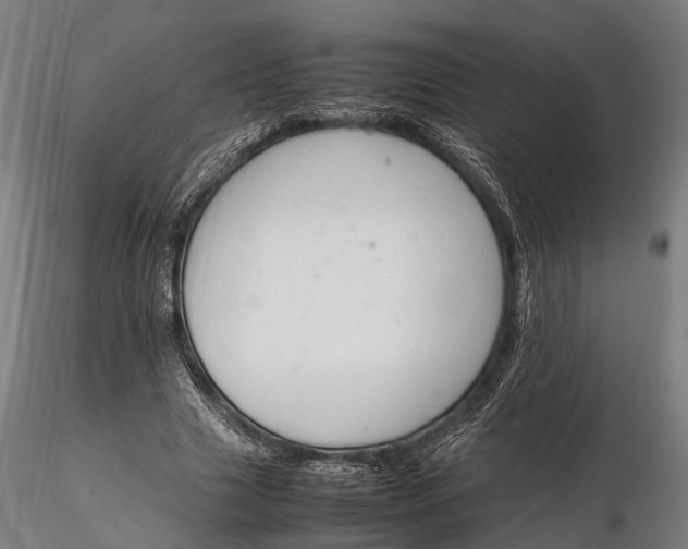 X0000116310633200912141359