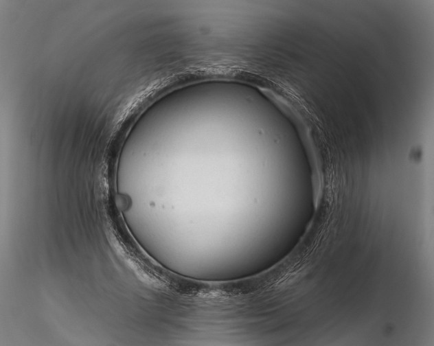 X0000116310634200912141359